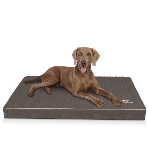 Knuffelwuff ortopædisk hundepude Palomino af laservatteret kunstlæder L 80 x 60 cm brungrå